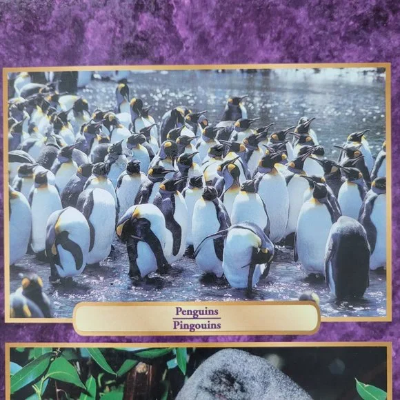 Jigsaw Puzzle 750pc NEW | Penguins - Picture 4 of 9
